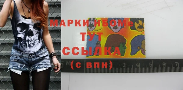 хмурый Белокуриха