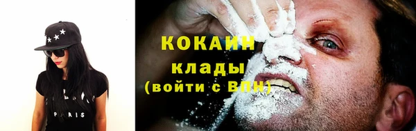 хмурый Белокуриха