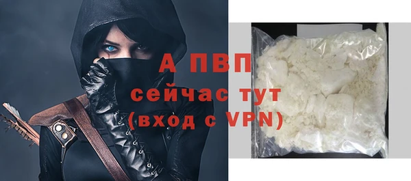 гашик Беломорск