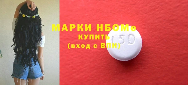 хмурый Белокуриха