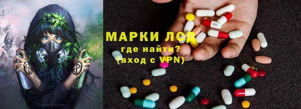 хмурый Белокуриха