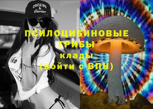 хмурый Белокуриха