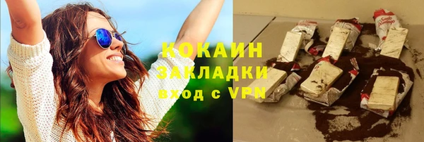 хмурый Белокуриха